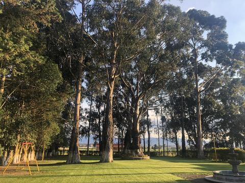 Jardines de Rancho Los Leones con fuente y áreas verdes